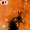 [BFT2007] 580