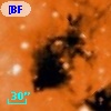 [BFT2007] 587