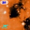 [BFT2007] 597