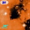[BFT2007] 616