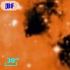 [BFT2007] 623