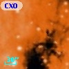 CXOU J182031.4-160934