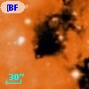[BFT2007] 644