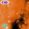 CXOU J182031.8-160926