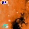 [BFT2007] 659