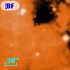 [BFT2007] 673
