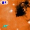[BFT2007] 684