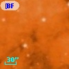 [BFT2007] 695