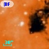 [BFT2007] 703