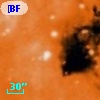 [BFT2007] 708