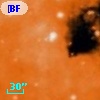 [BFT2007] 722