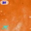 [BFT2007] 787