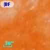 [BFT2007] 804