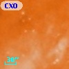 CXOU J182044.1-160856