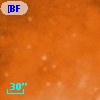 [BFT2007] 825