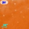 [BFT2007] 842