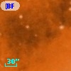 [BFT2007] 874