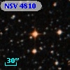 NSV  4810