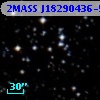 2MASS J18290436-5104503