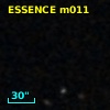 ESSENCE m011