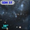 SDH  37