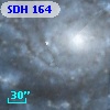 SDH 164