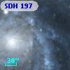 SDH 197