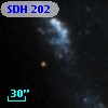 SDH 202