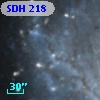 SDH 218