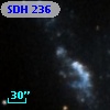 SDH 236