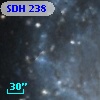SDH 238