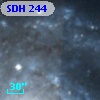 SDH 244