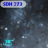 SDH 273
