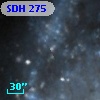 SDH 275