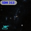 SDH 313