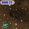 DWB  77