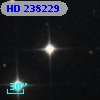 HD 238229
