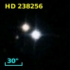 HD 238256