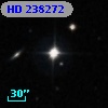 HD 238272