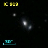 IC  919
