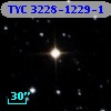 TYC 3228-1229-1