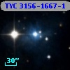 TYC 3156-1667-1