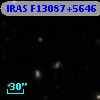 IRAS F13087+5646