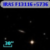IRAS F13116+5736