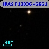 IRAS F13036+5651