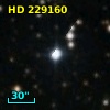 HD 229160