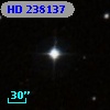 HD 238137