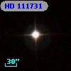 HD 111731