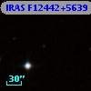 IRAS F12442+5639