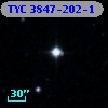 TYC 3847-202-1